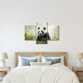 Obraz - Panda (90x60 cm)