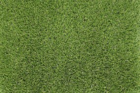 Artificial grass specialists AKCIA: 78x560 cm Umelá tráva Rosemary NEW metrážna - Rozmer na mieru cm