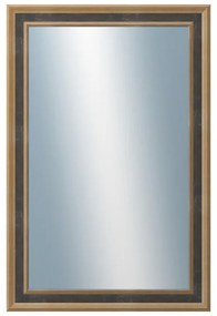 DANTIK - Zrkadlo v rámu, rozmer s rámom 40x60 cm z lišty TOOTH malá zlatá (3163)