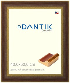 DANTIK rám na obraz 40x50 | ZVRATNÁ červenozlatá plast (Sklo Čiré)