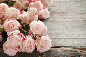 Fototapeta ruže v svetloružovej farbe