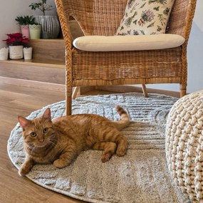 Ayyildiz, Kusový koberec Art 1121 Silver kruh, 200x200 (priemer) kruh, šedá, obývacia izba