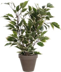 XXXLutz UMELÁ RASTLINA 40 cm - Kvety & kvetináče - 0045360230