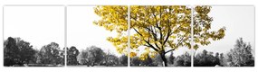Obraz žltého stromu v prírode