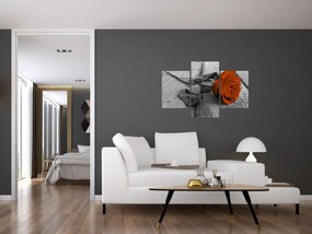 Obraz - Oranžová ruža (90x60 cm)