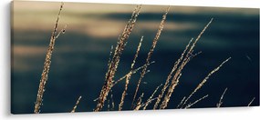 Obraz tráv (120x50 cm)