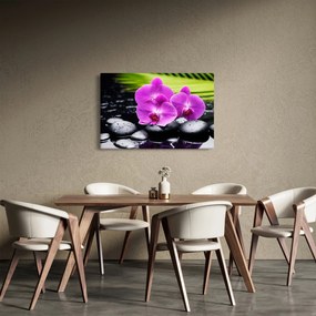 Obraz - Orchidey (90x60 cm)