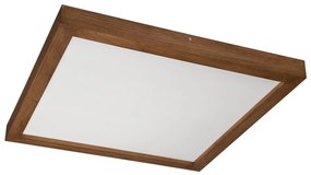 Brilagi-LED Stmievateľné svietidlo WOODY FRAME LED/50W/230V dub 60x60 cm IP44 + DO