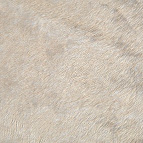 Béžový semišový pelech pre psa 87x55 cm Flakes – Love Story