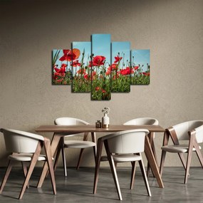 Obraz - Na poli vlčích makov (150x105 cm)