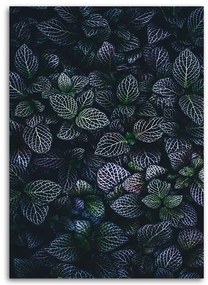 Obraz na plátně, Fialové listy Příroda - 60x90 cm