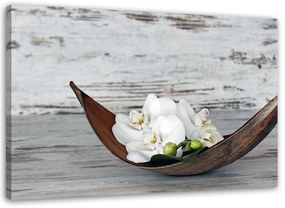 Gario Obraz na plátne Biele kvety orchidey Rozmery: 120 x 80 cm