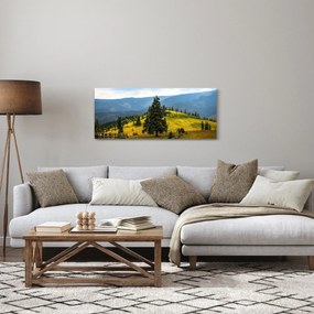 Obraz - Horská lúka (120x50 cm)