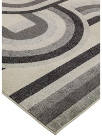 Sivo-béžový koberec 200x290 cm Nova Retro Grey – Asiatic Carpets