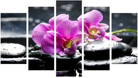 Viacdielny obraz Insigne Paliko, 102 × 60 cm