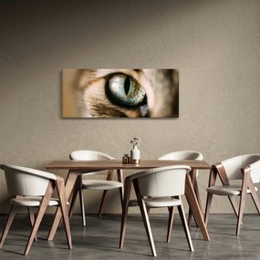 Obraz - Mačacie oko (120x50 cm)