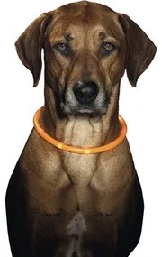 Obojok pre psa Karlie LED 70 cm oranžový