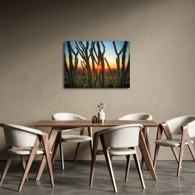Obraz - Rastliny (70x50 cm)