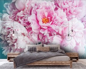 Vliesové fototapety 14586V8, rozmer 368 cm x 254 cm, pivonky ružové, IMPOL TRADE