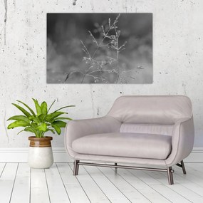 Obraz - Vidiecka lúka (90x60 cm)