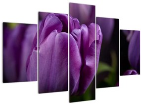 Obraz kvetov tulipánov (150x105 cm)