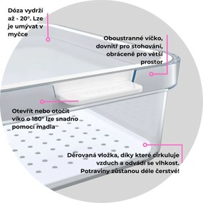 Organizér do chladničky s vekom a špeciálnou podložkou 2,6 l CAUMA