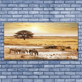 Obraz na akrylátovom skle Púšť krajina 120x60 cm