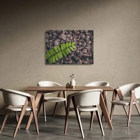Sklenený obraz zelenej rastliny (70x50 cm)