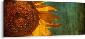 Obraz - Slnečnica (120x50 cm)