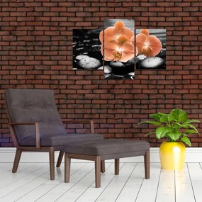 Obraz - Oranžové orchidey (90x60 cm)