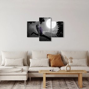 Obraz - Nočná sova, fialová sova (90x60 cm)