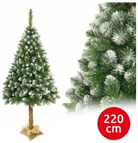 Vianočný stromček na kmeni 220 cm borovica