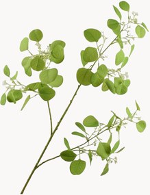 Rastlinné dekorácie Eucalyptus, 2 ks