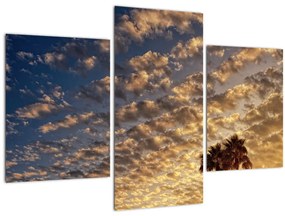 Obraz - Palmy medzi mrakmi (90x60 cm)