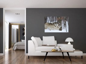 Obraz - Vlci v zime (90x60 cm)