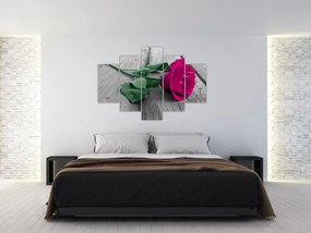 Obraz - Ružová ruža so zelenou stonkou (150x105 cm)