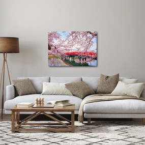 Obraz - Hirosaki, Japonsko (70x50 cm)