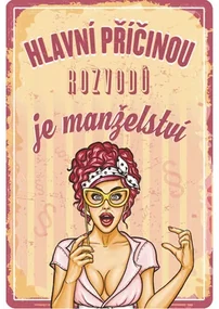 Plechová ceduľa 20x30 cm BU20035