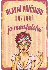 Plechová ceduľa 20x30 cm BU20035