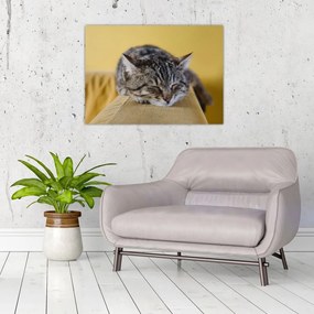 Sklenený obraz mačky na pohovke (70x50 cm)