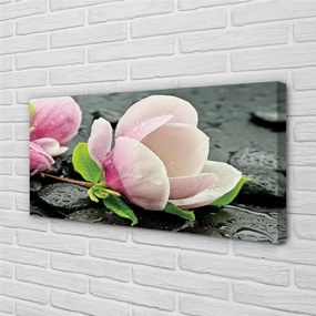 Obraz canvas Magnolia kamene 140x70 cm