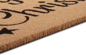Hanse Home, DOPREDAJ: 45x70 cm Rohožka Merry Christmas 105697 - na ven i na doma, 45x70, hnedá, chodba / predsieň
