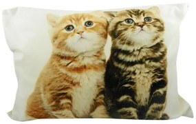 Béžový obdĺžnikový vankúš s mačičkami - 50 * 10 * 35cm