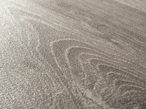 Beaulieu International Group, PVC podlaha - lino Livitex 2604, na mieru, šíře 3m,4m, šedá, filc, chodba / predsieň