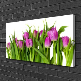 Obraz na plátne Tulipány kvety rastlina 125x50 cm