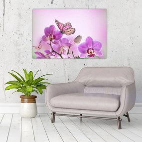 Obraz - Motýľ na kvetoch orchidey, lila (90x60 cm)
