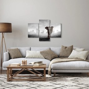 Obraz - Sloník vo veľkomeste, čiernobiely variant (90x60 cm)