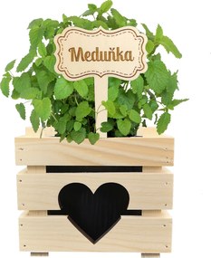 AMADEA Drevený zápich - ceduľka na bylinky Medovka, výška 20 cm, český výrobok