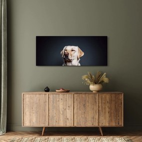 Obraz labradora (120x50 cm)
