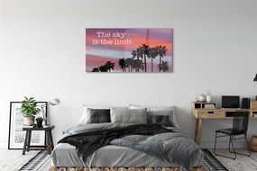 Obraz plexi Palm západu slnka 125x50 cm